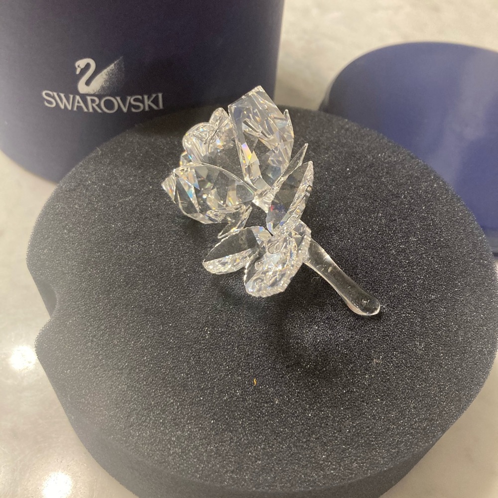 Swarovski  Crystal Rose